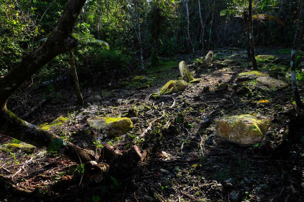 La photo ci-dessus montre un ensemble de pierres de latte (les piliers en pierre des anciennes maisons du peuple indigène Chamorro) situé dans le Guam National Wildlife Refuge, Ritidian Unit (« Réserve nationale faunique de Guam, zone de Ritidian »). Cet endroit sera fréquemment inaccessible à la communauté car il se trouve dans la Surface Danger Zone (« zone de danger en surface ») du complexe de champ de tir d'entraînement de l'armée américaine.