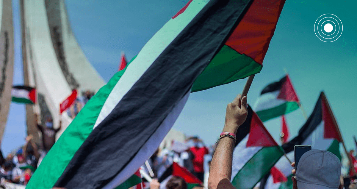 palestinians against settler colonialism