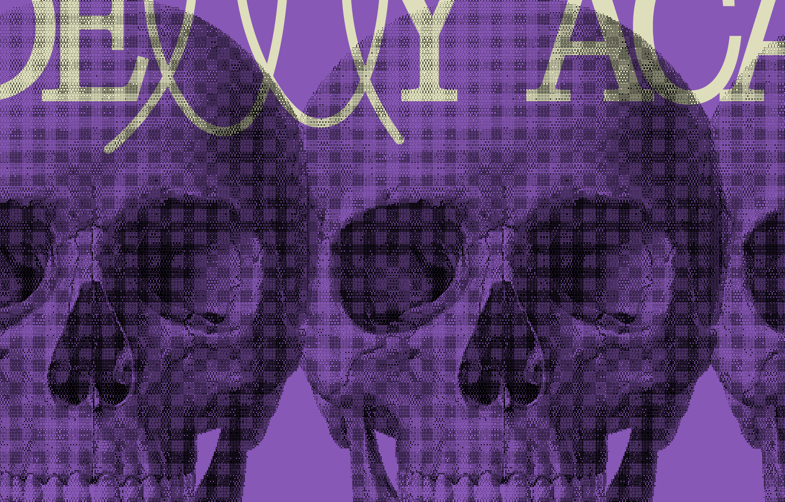 Capitalism produces death and waste on a genocidal scale